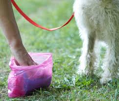 About Birmingham Dog Waste Removal